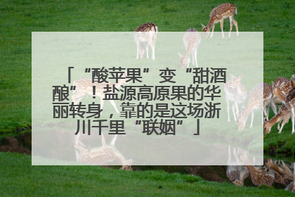 “酸苹果”变“甜酒酿”！盐源高原果的华丽转身，靠的是这场浙川千里“联姻”